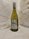 Pinot Grigio_AK.webp