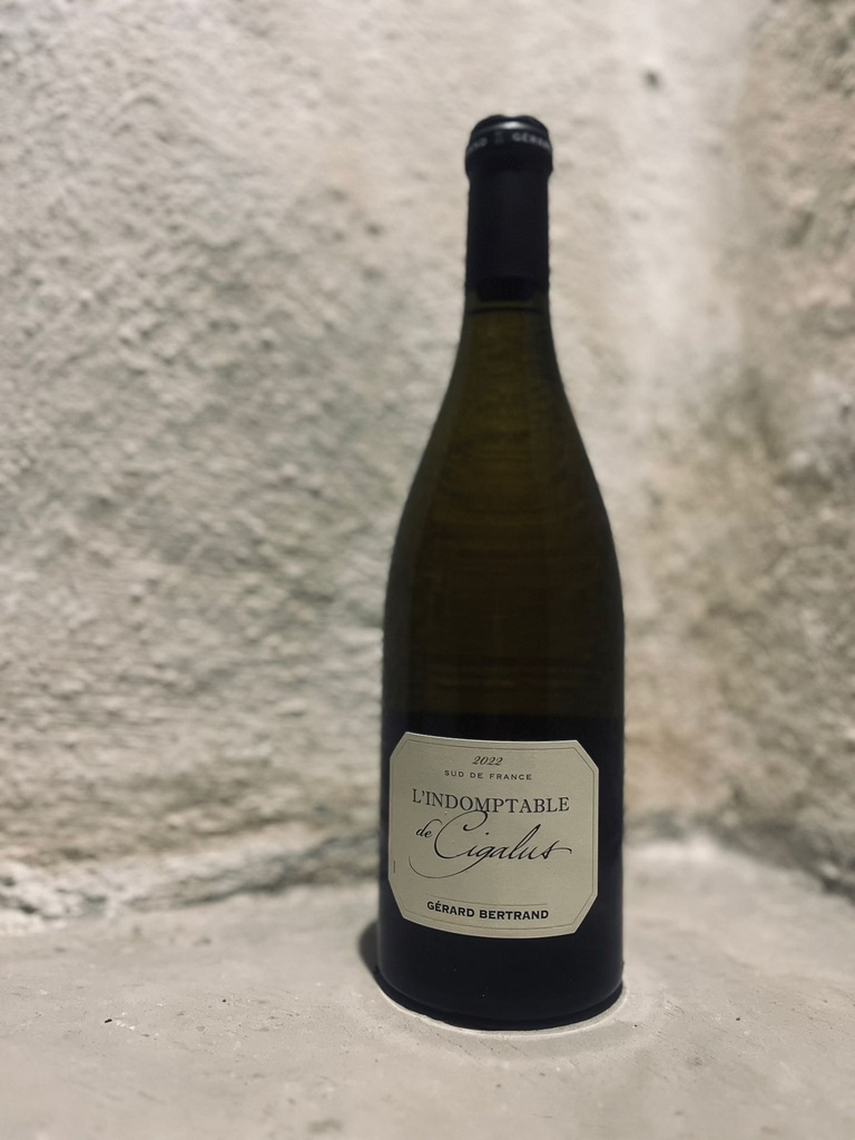 L'indomptable de Cigalus Blanc 2022