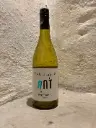 Pinot Blanc | Fabulous Ant