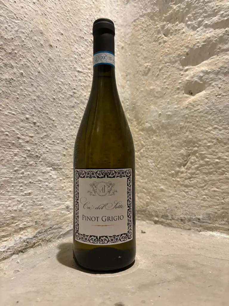 Pinot Grigio delle Venezie DOC | 2025 | Ca' Del Sette