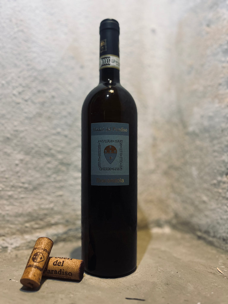 Biscondola Vernaccia di San Gimignano DOCG | 2023 | Poderi del Paradiso