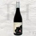 Montepulciano d'Abruzzo DOC | 2024 | Magnolia