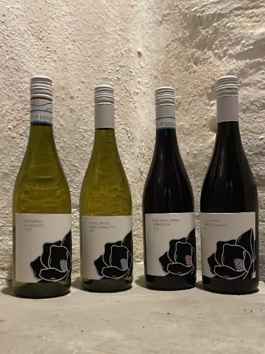 [RHW00082] 📦Introductiepakket "MAGNOLIA"