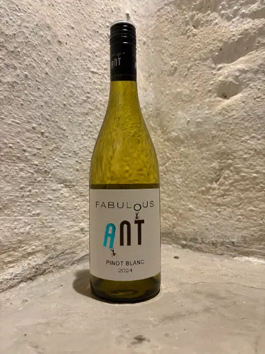 [RHW00112] Pinot Blanc | 2024 | Fabulous Ant